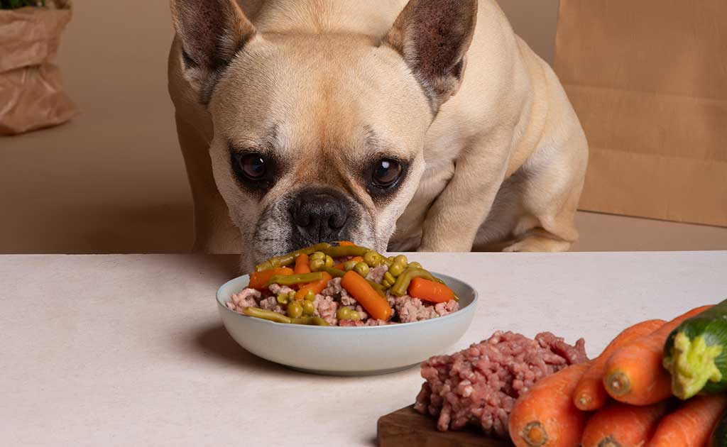 Vet-Approved-Homemade-Dog-Food-Recipes
